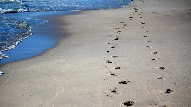 footprints-gb9efdf632_1920 (Foto: Ulrike Mai auf Pixabay) footprints-gb9efdf632_1920 (Foto: Ulrike Mai auf Pixabay)