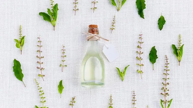 aroma-basil-spices-green-white-essential-herbal-organic-aromatic (Foto: pikist.com) aroma-basil-spices-green-white-essential-herbal-organic-aromatic (Foto: pikist.com)