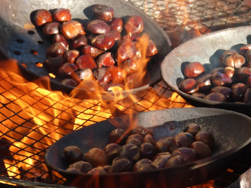 makamuki0-chestnuts-1783878 (Foto: Marc Pascual from Pixabay) makamuki0-chestnuts-1783878 (Foto: Marc Pascual from Pixabay)
